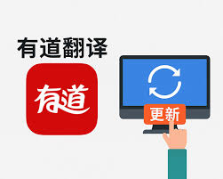 怎样在有道翻译下载的官方渠道找到各语种的OCR扩展包?
